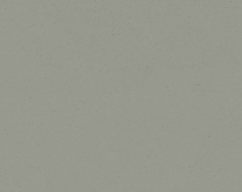 [100111118_9] Marmoleum Cocoa - 3588 eucalyptus